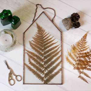 Minimalist <b>Copper</b> Framed Glass Botanical Specimen <b>Frame</b> Hanging <b>Photo</b> <b>Frame</b> Home Decoration Wholesale Manufacturer Direct Supply - Product Image 1