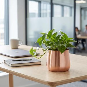 Maceta de Metal Hecha a Mano, Moderna, para Plantas de Interior, Decorativa, para Hogar, Oficina, Sala de Estar, Jardín - Product Image 3