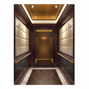 Elevador de casa en China con el menor coste - Product Image 3