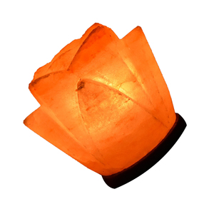 Lámpara de Sal Rosa en Forma de Flor, Iluminación Elegante para Bienestar, Proveedor de Exportación, Gran Demanda Mundial - Product Image 3