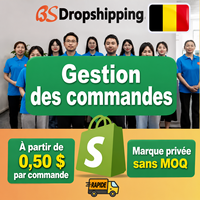 Agent d'exécution des commandes en Chine pour les boutiques Shopify, service de personnalisation de marque, sans MOQ, livraison express en Belgique en 3 à 10 jours