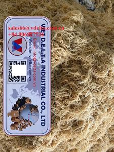 Dried <b>Sea</b> <b>Moss</b> Natural Superfood for Smoothies and <b>Gels</b>/ Wildcrafted Sun Dried Irish <b>Moss</b> in Vietnam/ Ms. Lily - Product Image 6