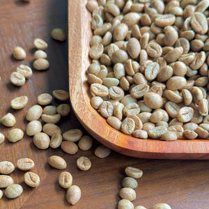 Proveedor Directo de Fábrica OEM, Granos de Café Verde Robusta Sin Tostar de Alta Calidad, Materia Prima Procesada con Miel, Exportador - Product Image 1