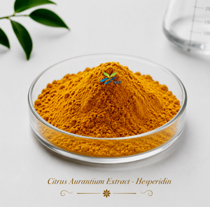 HGO Factory Direct Supply Extrait de Citrus Aurantium naturel pur (qualité alimentaire) Spécification 98% Hespéridine (extrait standardisé) - Product Image 1