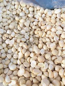 Noix de cajou de qualité supérieure du Vietnam W320 W240 W180 |   Noyaux de noix de cajou crus et grillés |   Exportation en gros d'usine - Mme Tarina - Product Image 3