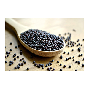 Semillas de Mostaza Enteras Naturales de Grado Alimenticio, Especia Premium para Cocinar, Elaboración de Alimentos y Mercados de Exportación a Granel - Product Image 5