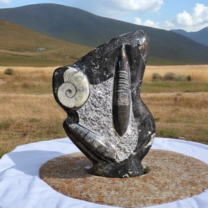 Vente en gros : Spécimen fossile d'Orthocéras de haute qualité, plaque d'ammonite, plaque de calmar, pièce sculptée en forme d'hexagone, cristal taillé - Product Image 1