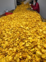 Premium Vacuüm Gefrituurde Jackfruit Chips Knapperige Tropische Fruitsnack