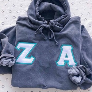เสื้อฮู้ดดี้พรีเมียมสำหรับผู้หญิง รุ่นเชนิลล์ เดลต้า |   เสื้อฮู้ดผ้าฝ้ายยูนิเซ็กซ์ลายปักแกมมาสำหรับชมรมนักศึกษากรีก - Product Image 5