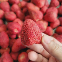 Gefreeze-droogde (FD) zoete hele aardbeien Da Lat Vietnam, hoge kwaliteitscontrole, vacuüm verpakt, kant-en-klaar, 20-35mm fruit