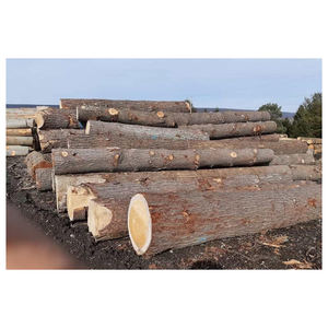 Bûches de bois de chêne naturelles, bois dur rond pour la production de bois d'œuvre en scierie, usine de meubles et revêtements de sol, approvisionnement en vrac - Product Image 2