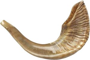 Cuerno de Shofar Natural, Económico, Hecho a Mano, Cuerno Religioso Judío para Oración, Rituales, Adoración y Práctica Espiritual - Product Image 2