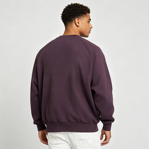 Sweat-shirt unisexe à col rond coupe classique Hawk Eye, en coton molletonné français 370g, écologique, anti-boulochage, pour l'hiver, style décontracté - Product Image 2