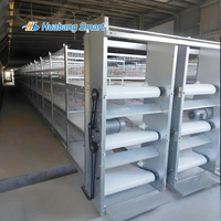 Nouvelles cages de poulailler de type H pour l'équipement d'élevage avicole, destinées aux poules pondeuses et aux cages de poulets d'élevage.
