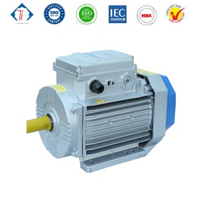 Motor Eléctrico Asíncrono Monofásico IE 1 de 240V con 12 Meses de Garantía, Nuevo Motor de Aluminio Fundido de Alta Gama TOAN PHAT - Product Image 2