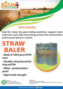 Cuerda de PE de embalaje de plátano de gran tamaño de alta calidad, fabricante de Vietnam, Exportación para agricultura, invernaderos, hoja de PC - Product Image 5