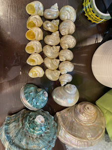 เปลือกหอยทะเลธรรมชาติ งานฝีมือ ตกแต่งบ้าน ทนทาน ของตกแต่งธีมมหาสมุทร งานแต่งงานริมชายฝั่ง ของตกแต่งธีมชายหาด งานฝีมือสไตล์ทะเล - Product Image 6