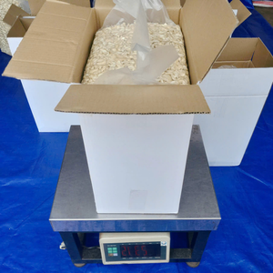 Noix de Cajou Entières, Noix de Cajou en Gros, Service Personnalisé Disponible, Grains de Noix SANTIGO - Product Image 1