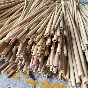 Best Selling 2026 Natural Raw Bamboo Whole Stick Supporting Flower <b>Garden</b> Use Eco-friendly Flexible High Quality 0.5-1m Length - Product Image 6