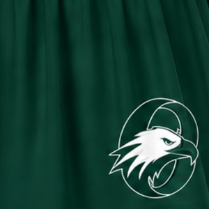 Jupe de cheerleading vert foncé plissée, jupe d'uniforme athlétique avec bordure rayée, tenue de performance d'équipe, vêtements de sport personnalisés - Product Image 6