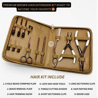 Kit d'outils pour extensions de cheveux LUMINEX Cambodian Hair Soft, couleur or, portable, avec pince à perles, coupe-limiteur, rasoir effilant, pinces, peigne