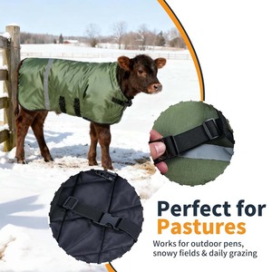 Manta acolchada para cabras y burros, resistente al agua y al viento, con diseño de pierna dividida y correa ajustable para el vientre, para ganado. - Product Image 3