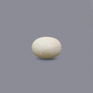 Natural White Coral Beads 9.8 Carat Certified Wholesale Quality - Product Image 1