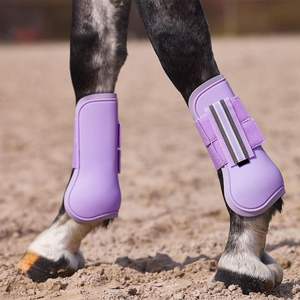 Nouvel Arrivage Support de Tendon Protecteur Personnalisable en Acier Inoxydable et Nylon pour Bridon de Cheval Haute Qualité 50x20x40cm SP-40337 - Product Image 5