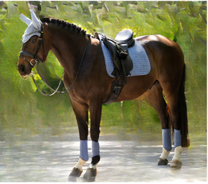 Almohadilla de Montar Premium para Caballos de Doma Clásica, Transpirable, Profesional, Acolchada, Absorbente de Impactos - Product Image 3