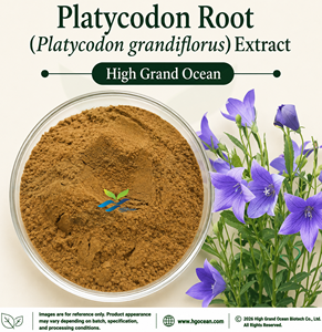 HGO Factory Direct Supply Platycodon Root (Platycodon grandiflorus) Extract 4:1 5:1 10:1 20:1 100:1 200:1 Food Grade - Product Image 1