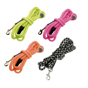 Durable Long Reflective Simple Eco-Friendly Plaid Nylon Rope 10ft TW <b>Dog</b> Outdoor Training Night Safety Walking Leash - Product Image 2