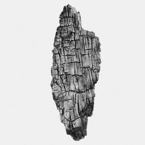 sale of high quality natural black tamarind <b>wood</b> <b>charcoal</b> for grilling all types of meat with distinctive and delicious results - Product Image 1