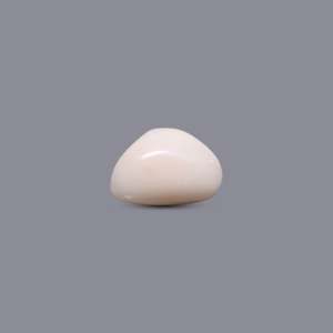 Natural White Coral Oval Cabochon 5.65 Carat Loose Gemstone 7mm Certified Wholesale - Product Image 3