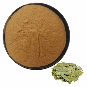 Extrait de feuille de Senna de qualité supérieure 10% Poudre de Senna naturelle de qualité alimentaire pour hommes et femmes Poudre de Cassia Angustifolia pure et finement moulue - Product Image 3