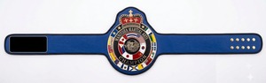 Réplica de Cinturón de Campeonato de Artes Marciales de Metal Personalizado de EE. UU. y Canadá, Cinturón de Lucha con Trofeo Grabado para Eventos de Entrenamiento de Boxeo - Product Image 1
