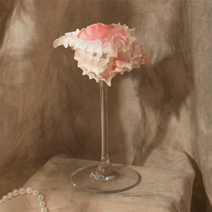 Verres à vin et à eau en verre avec coquillages marins naturels, prix de gros abordable - Product Image 2