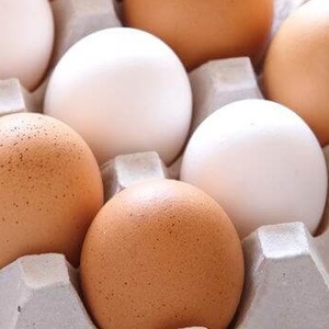 Suministro al por Mayor de Huevos de Gallina - Product Image 1