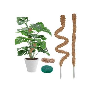 Poteau en fibre de coco TOPGRADE pour l'infrastructure de soutien des serres industrielles et l'extension unique des entrepôts à maintien d'humidité - Product Image 1