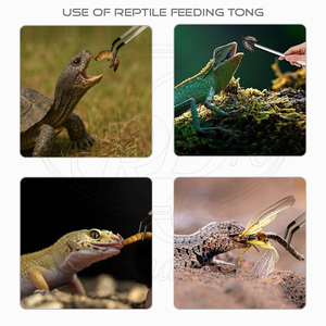 2 pinces à nourrir les reptiles en acier inoxydable, courbées et droites, avec pointe recouverte de PVC, 9,8 et 11,8 pouces, à prise dentelée, pour reptiles - Product Image 5