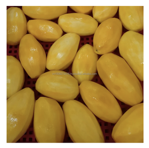 Bloques de Mango Congelados en Cubos IQF, Proveedor de Vietnam, Paquete a Granel - Product Image 2