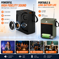 Altavoz Portátil LN-1036MIC con Entrada para Micrófono, Máquina de Karaoke de 30W, Soporte para Teléfono, Caja de Sonido Inalámbrica, Venta al Por Mayor