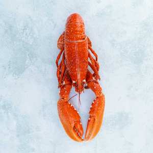 Homards frais congelés sélectionnés Ocean, au goût 100% naturel, pour la distribution internationale de produits de la mer - Product Image 2