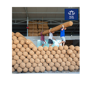 Disponible: Tronco de Coco para la Restauración de Taludes y Cuenca Fluvial, Fibra de Cáscara Limpia, de Primera Calidad, Oferta de Exportación a Granel - Product Image 1