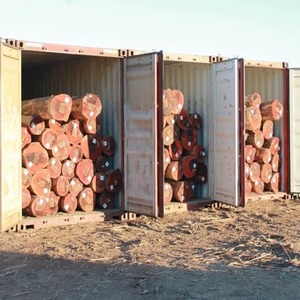 Premium Export Timber <b>Logs</b> with Superior Strength Durability and Commercial Processing Value - Product Image 5