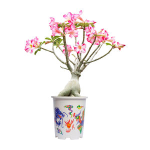 Jardinière en plastique de forme ronde au design moderne écologique imprimée pour un usage domestique comme suspension ou décoration de sol - Product Image 2