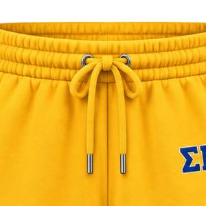 กางเกงขาสั้นผ้าฟลีซลายตัวอักษรกรีก Sigma Gamma Rho สำหรับผู้หญิง เสื้อผ้าชมรมแบบกำหนดเอง กางเกงขาสั้นเนื้อนุ่ม สวมใส่สบายๆ ชุดกีฬา ชุดออกกำลังกาย ชุดลำลอง - Product Image 3