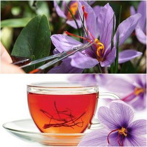 100% Pure Natural Therapeutic Grade Saffron <b>Essential</b> <b>Oil</b> Organic Bulk Supply for Skin Care - Product Image 4