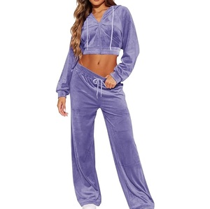 Crop Top Hooded Zipper Velvet Velour Tracksuits Stacked Flare Jogging <b>Set</b> Winter Purple Color Velvet Track Suit Sweat Suits <b>Set</b> - Product Image 1