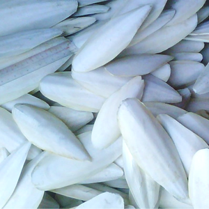 Calamar (seiche) entier congelé, qualité supérieure, faible teneur en matières grasses, riche en protéines, produit de la mer du Vietnam, Ba Ria-Vung Tau, 20-40 cm, emballage en sac, 5-10 kg, 2 unités - Product Image 6