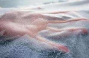 Tissu non tissé en polypropylène hydrophile KOSITE pour produits d'hygiène jetables - Product Image 4